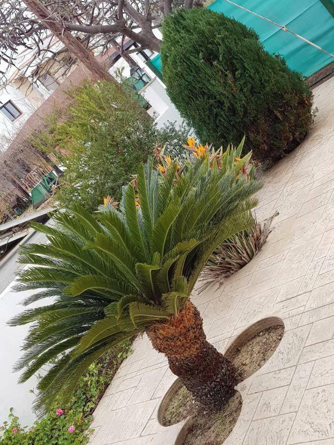 אייה מרינה Olgas Villa מראה חיצוני תמונה